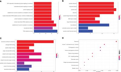 MMS22L Expression as a Predictive Biomarker for the Efficacy of Neoadjuvant Chemoradiotherapy in Oesophageal Squamous Cell Carcinoma